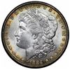 Image 1 : 1884 Morgan Dollar, Redfield holder, Paramount MS65, NGC MS63.