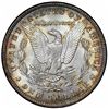 Image 2 : 1884 Morgan Dollar, Redfield holder, Paramount MS65, NGC MS63.