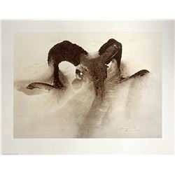 SHEEP SKULL IN DRIFT BY JAMES BAMA