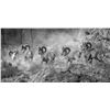 Image 1 : “THE GREAT MARCH WEST” CALIFORNIA BIGHORNS FROM KAMLOOPS, B.C. 18” X 36” CANVAS PRINT JEFFREY JACKSO