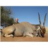 Image 3 : 10 - DAY HUNT FOR 1 HUNTER IN SOUTH AFRICA (Trophy Fees Credit of $1,000) THORMAHLEN & COCHRAN SAFAR