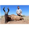 Image 4 : 10 - DAY HUNT FOR 1 HUNTER IN SOUTH AFRICA (Trophy Fees Credit of $1,000) THORMAHLEN & COCHRAN SAFAR