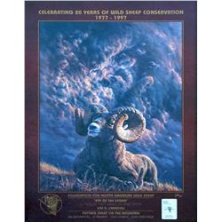 "EYE OF THE STORM" BY VIVI CRANDALL SHIRLEY & LES  BEHRNS