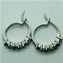 Silver Simulated Aquamarine Earrings, Suggested Retail Value $50