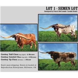 SEMEN LOT