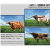 Image 1 : SEMEN LOT