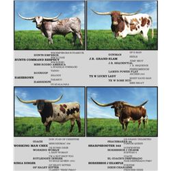 DONATION - SEMEN LOT