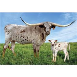 SUB LOT - MYSTIFY 68