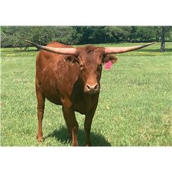 SUB LOT - DH STRAWBERRY WINE