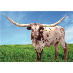 AL FARLAP'S RAGGEDY ANN