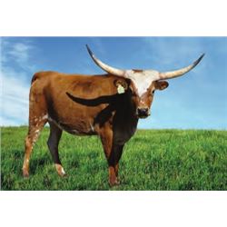 ATR RED'S VELVET CAKE