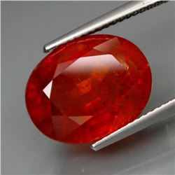 Natural BIG  Spessartite Garnet 12.35 cts -no Treatment