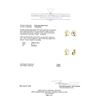 Image 3 : 18KT Yellow Gold 2.00 ctw Diamond Earrings