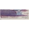 Image 3 : Potawatomi Signed & Numbered Woody Crumbo Print