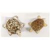 Image 2 : 2 Native American Pottery Turtles