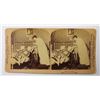 Image 1 : 1891 STEREOSCOPE CARD TREASURY BILL IN PLAIN VIEW
