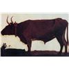 Ox by Albert Bierstadt