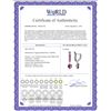 Image 2 : Genuine 3.2 ctw Amethyst Earrings 14KT White Gold - REF-37H4X