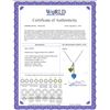 Image 2 : Genuine 1.40 ctw Blue Topaz & Peridot Necklace 14KT Rose Gold - REF-23X8M