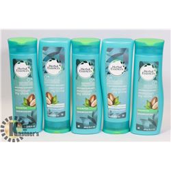 LOT OF HERBAL ESSENCES SHAMPOO & CONDITIONER.