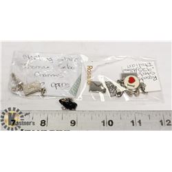 LOT OF ASSORTED CHARMS