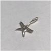 Image 2 : SILVER STAR PENDANT