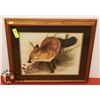 Image 1 : FRAMED PICTURE OF FOX. 23"X21.5"