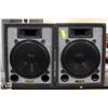 Image 1 : LOT OF 2 PALADYNE PS-250W SPEAKERS. ELECTRONICS