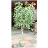 Image 1 : 6FT SILK TREE WITH DECORATIVE PLANTER BIN.