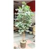 Image 1 : 6FT SILK TREE WITH DECORATIVE PLANTER POT.