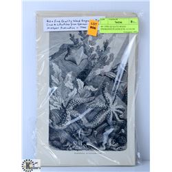 40+ FINE QUALITY WOOD ENGRAVED PLATES ICNL 4 COLOR