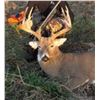 Image 2 : Safari Unlimited/Mallard Valley - Missouri whitetail hunt for 2