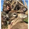 Image 3 : Safari Unlimited/Mallard Valley - Missouri whitetail hunt for 2