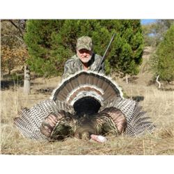 Erwins Outdoors - Gould’s turkey hunt for 2