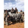 Image 1 : Diamond Wing Outfitters - Texas crane hunt for 2
