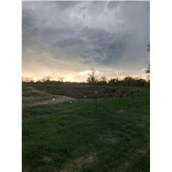 Merriam Turkey Hunt for 2 Hunters (Larry Bergman)