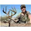 Image 2 : Sonoran Outfitters - Mexico Coues Deer for 1 hunter