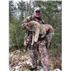 Image 1 : The Master Maine Guide - Maine Predator Hunt for 2 Hunters