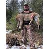 Image 3 : The Master Maine Guide - Maine Predator Hunt for 2 Hunters