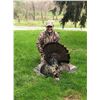 Image 1 : Full Fan Lodge - Eastern turkey hunt for 2 Hunters