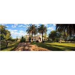 Pica Zuto Lodge - Eared Dove in Argentina for 4 shooters