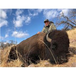 Sonoran Outfitters - Free range bison hunt in Mexico for 1 hunter