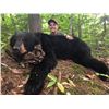 Image 1 : North Road Outfitters - Maine black bear hunt for 2 hunters