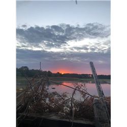 Gone Hunting Farm - 3 Day Duck Hunt for 4 People