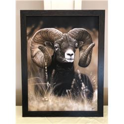 Mountain Ram by Clint Eagar