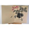 Image 2 : An Oriental watercolour painting album "Insect Garden" purportedly early 20th century