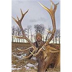 Alberta Elk Hunt with Option to add a Moose