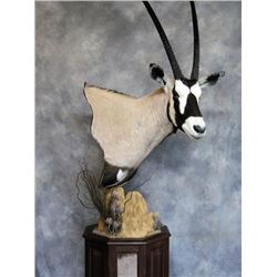 Taxidermy Certificate from Martin's Taxidermy