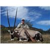 Image 3 : Eastern Cape,  Kudu,  Gemsbok, Blesbok and Springbok Trophy Fees Included