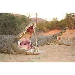 Crocodile Hunt on the Zambezi River, Cahorra Bassa, Mozambique